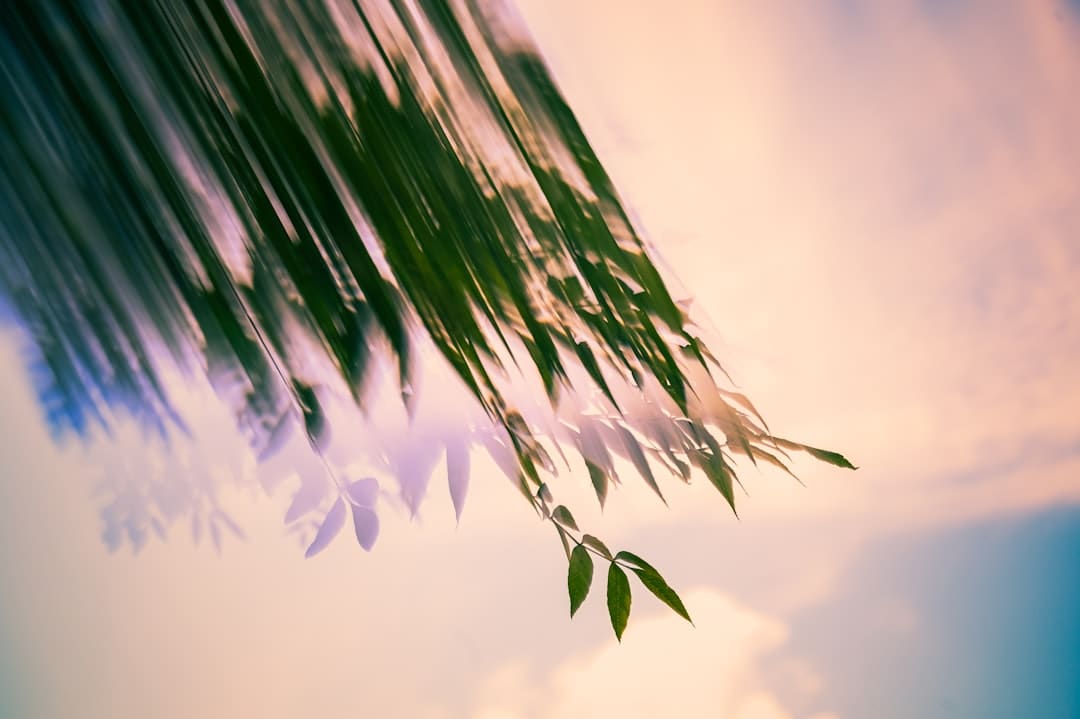 http://n.sinaimg.cn/news/1_img/upload/2b0c102b/w440h361/20180314/n79B-fysfynh1009205.jpg?zdy